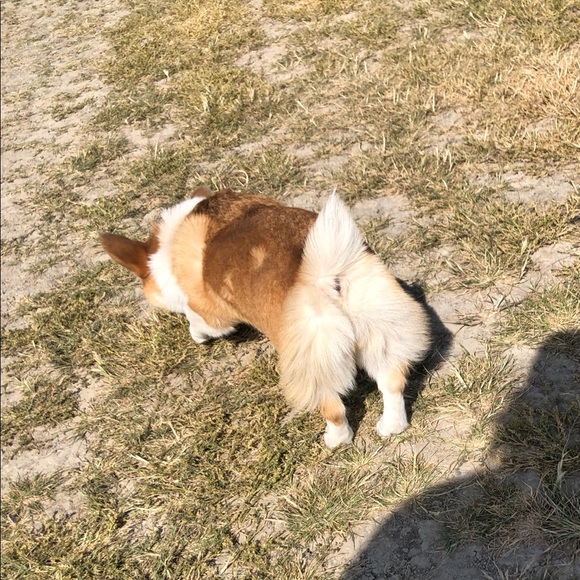 Meet the Posher - Picture 9 of 10